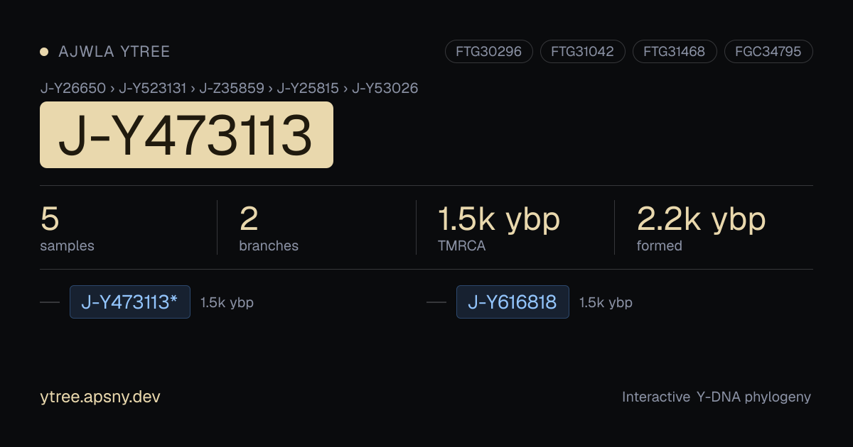 YTree J-Y473113
