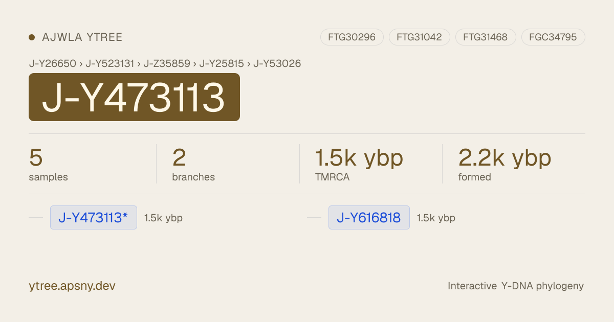 YTree J-Y473113