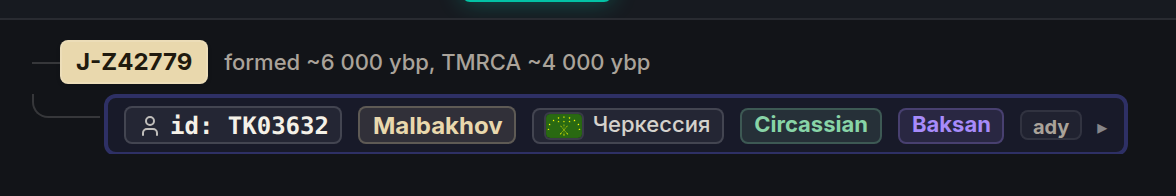 YTree J-Z42779