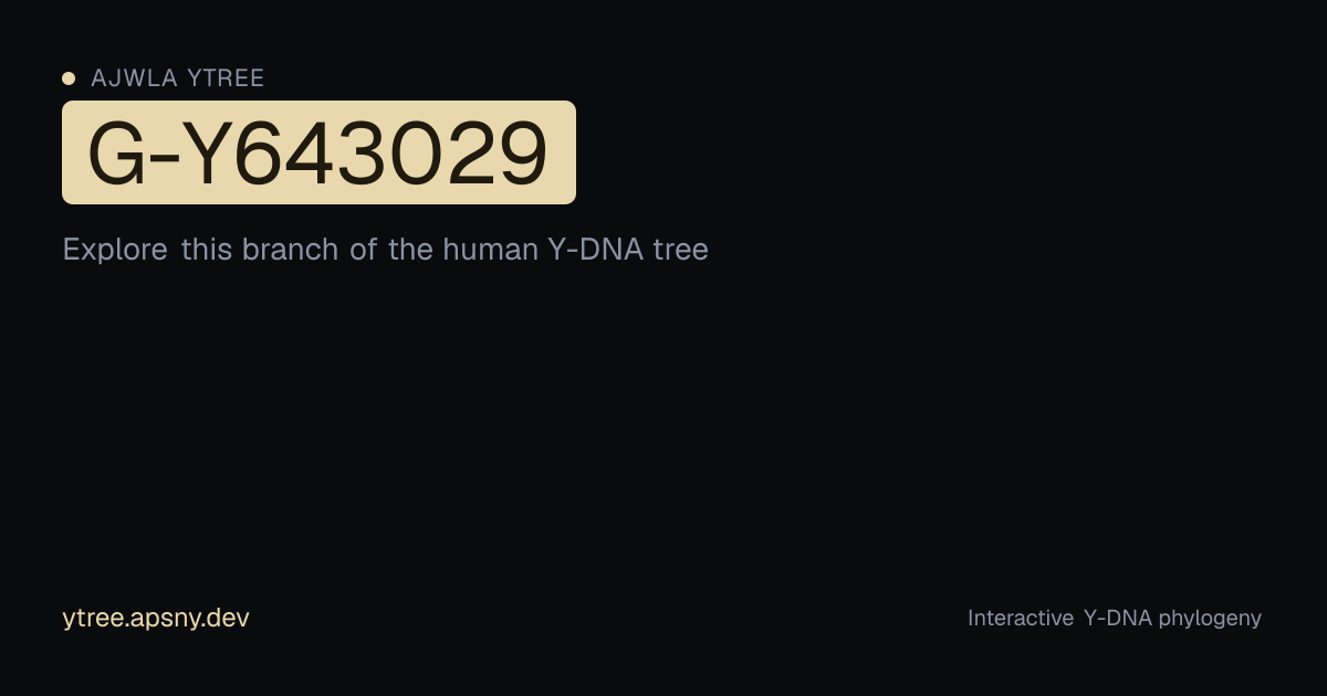 YTree G-Y643029