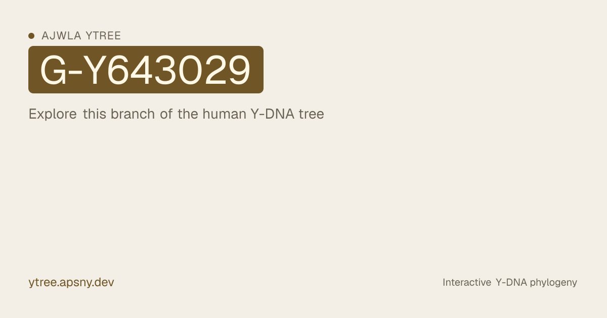 YTree G-Y643029