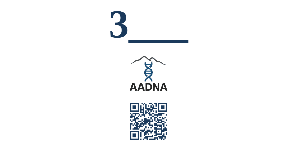 Превью результата 3___