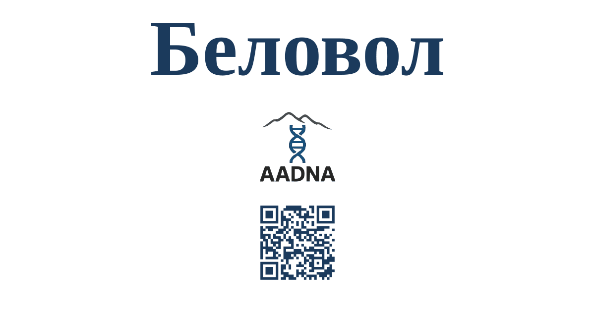 Превью результата Беловол