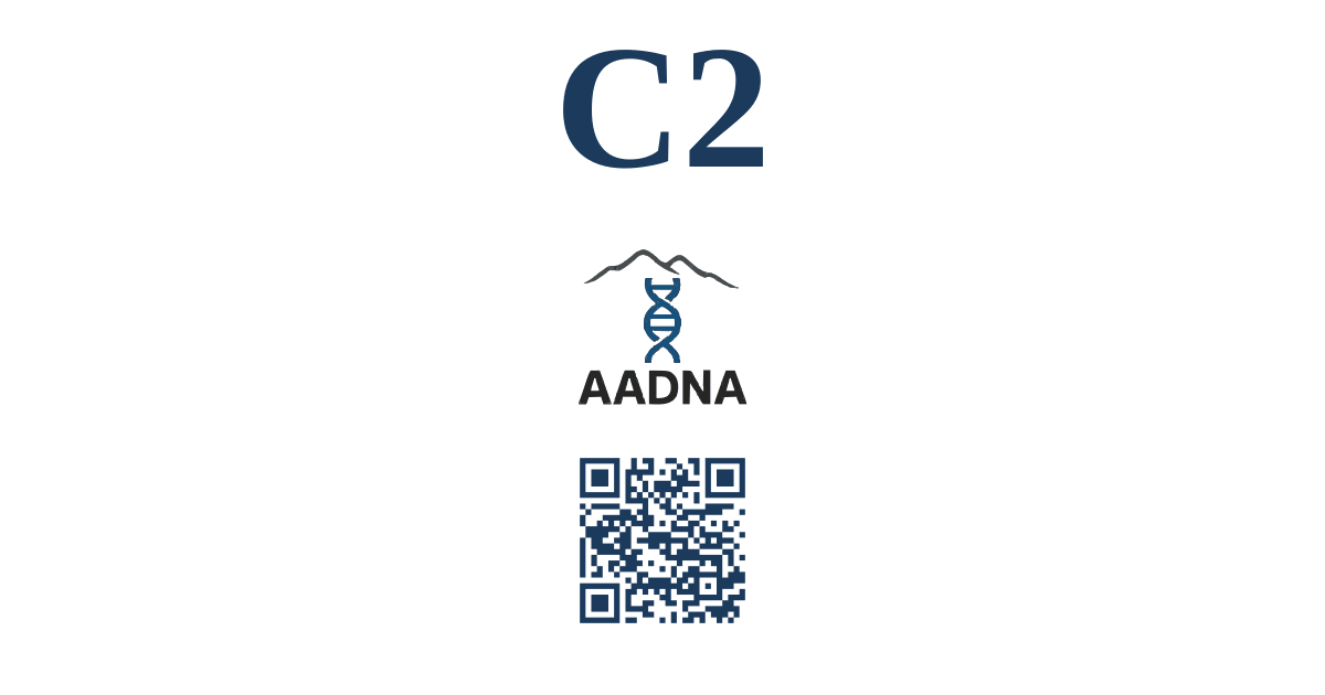 C2
