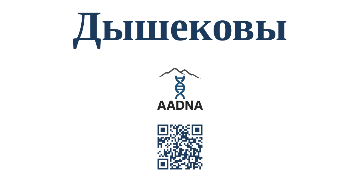 Превью результата Дышековы