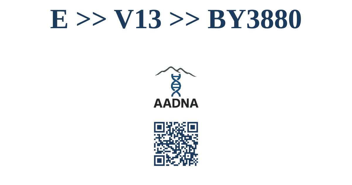 E &ampgt;&ampgt; V13 &ampgt;&ampgt; BY3880