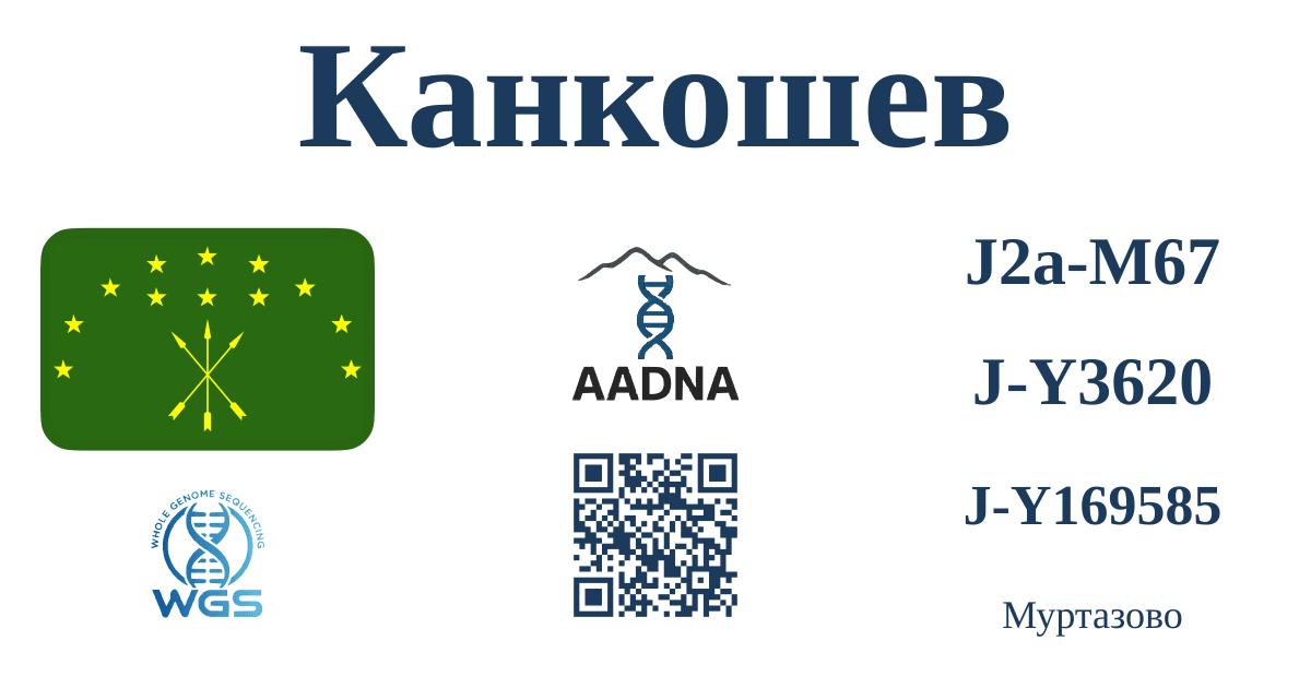 Превью результата Канкошев