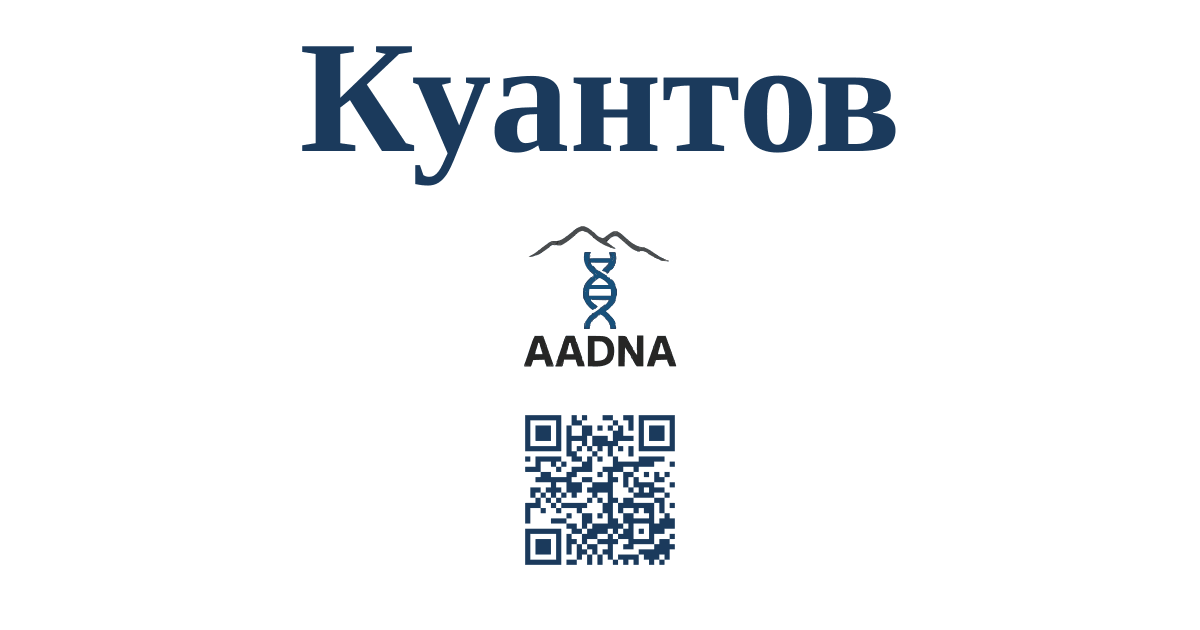 Превью результата Куантов