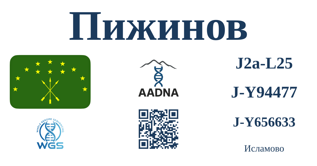 Превью результата Пижинов