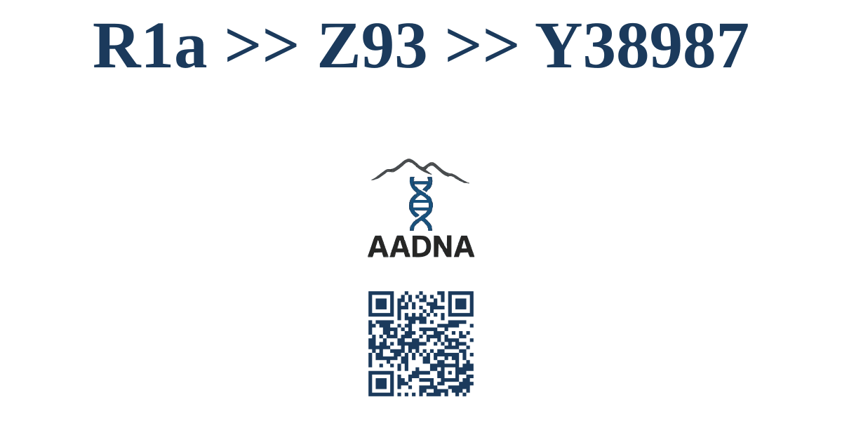 R1a &ampgt;&ampgt; Z93 &ampgt;&ampgt; Y38987