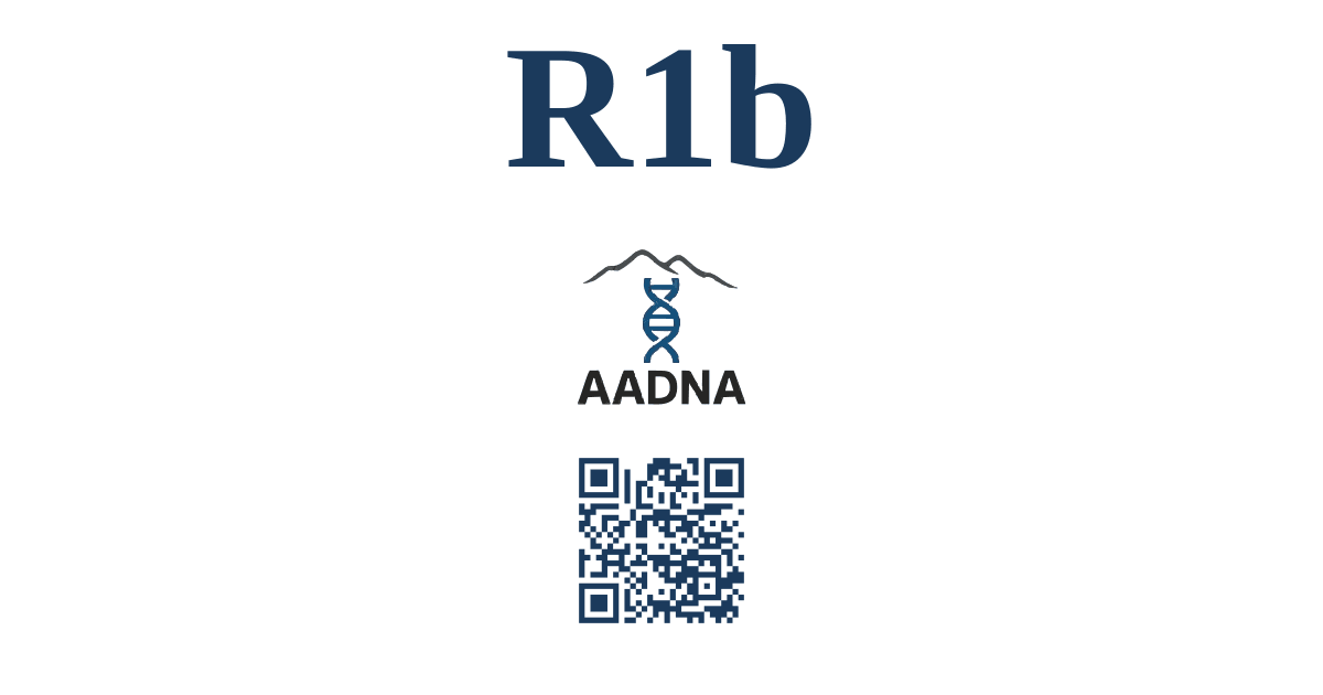 R1b
