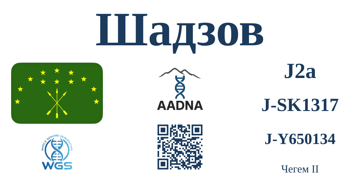 Шадзов
