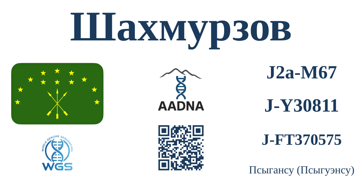 Превью результата Шахмурзов