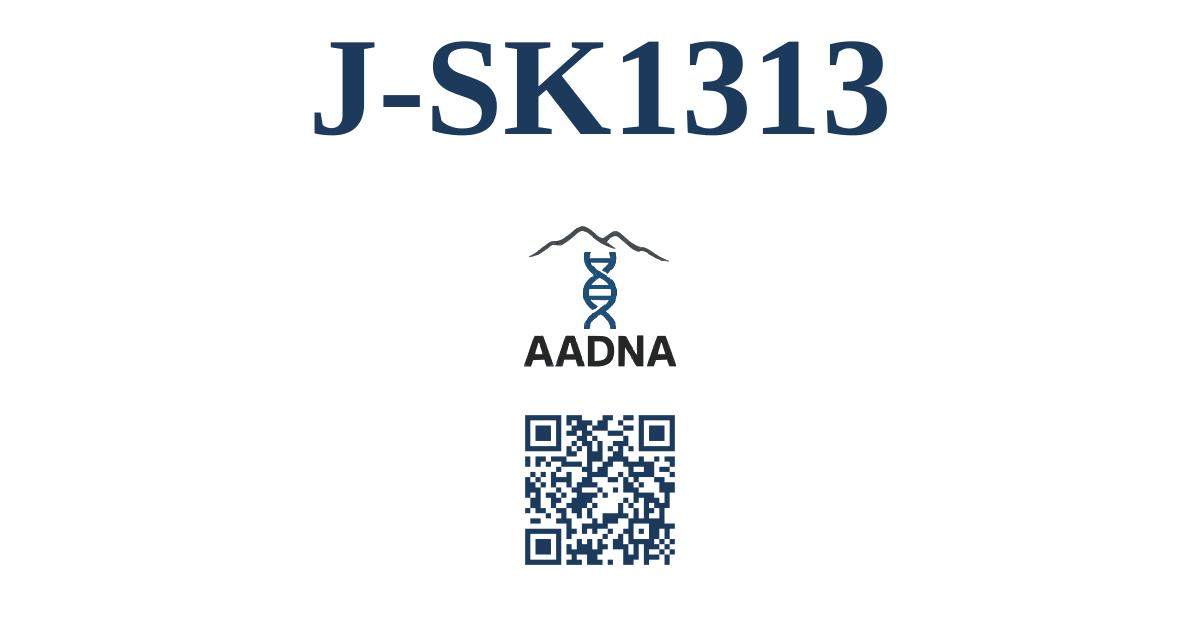 J-SK1313