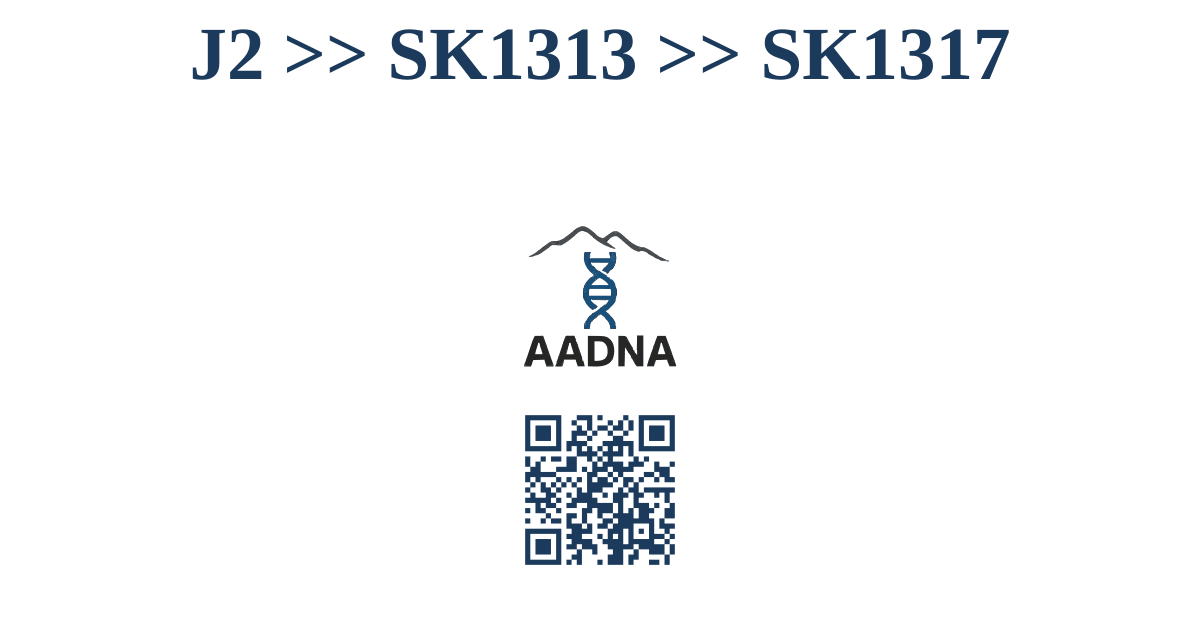 J2 &ampgt;&ampgt; SK1313 &ampgt;&ampgt; SK1317