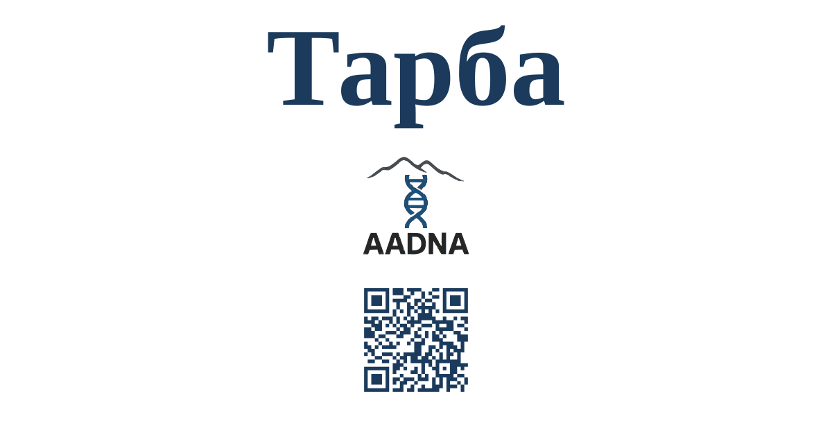 Превью результата Тарба
