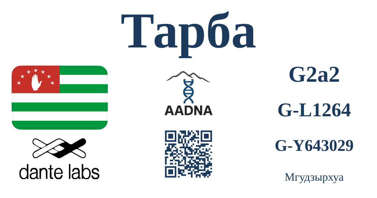 Превью результата Тарба