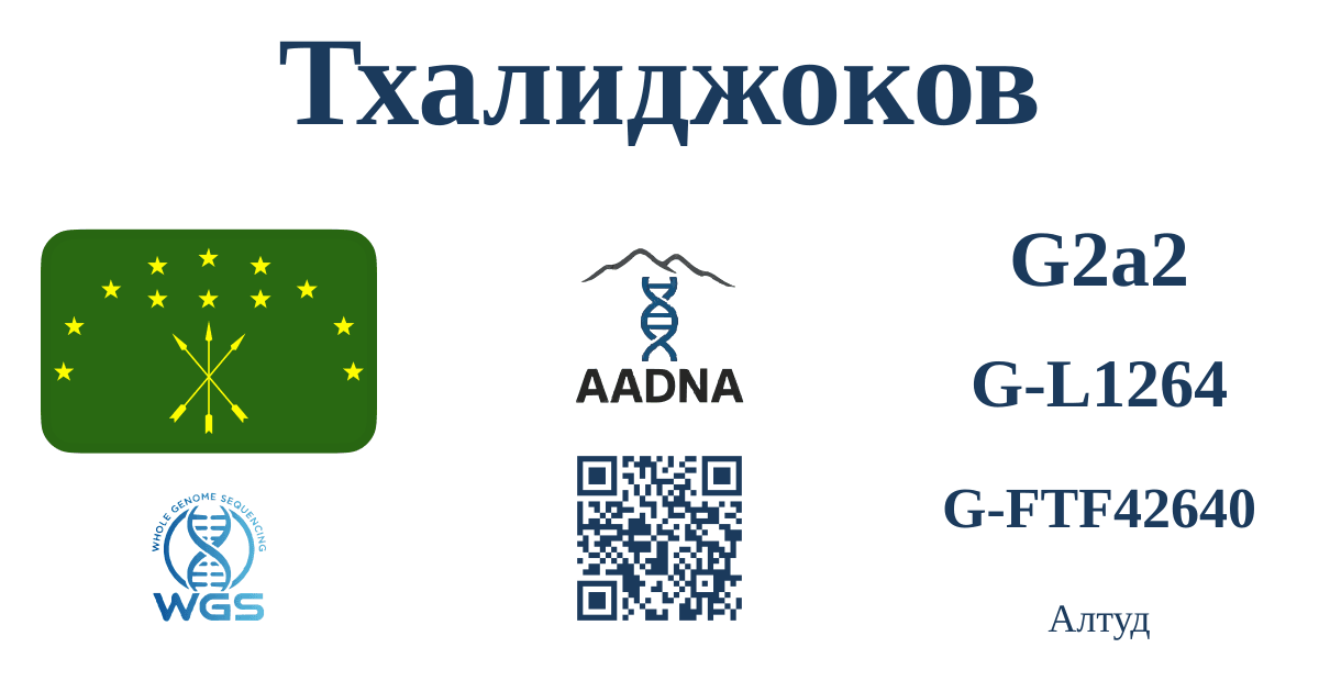 Превью результата Тхалиджоков