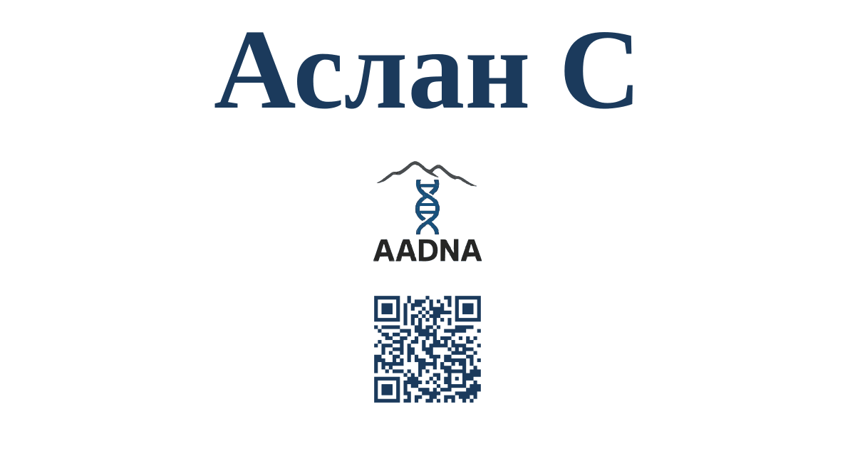 Превью результата Аслан С