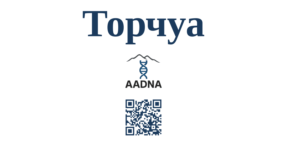 Превью результата Торчуа